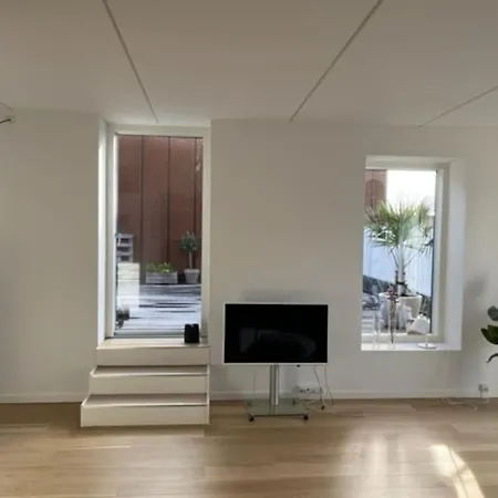Stylish With Big Private Roof Terrace Lejlighed København